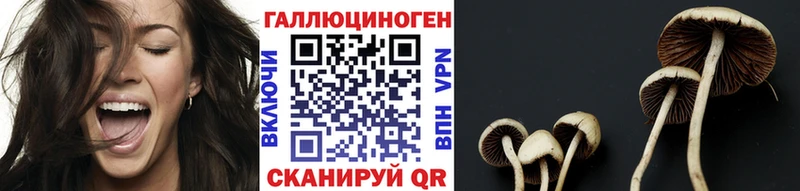 Псилоцибиновые грибы Cubensis  Новосибирск 